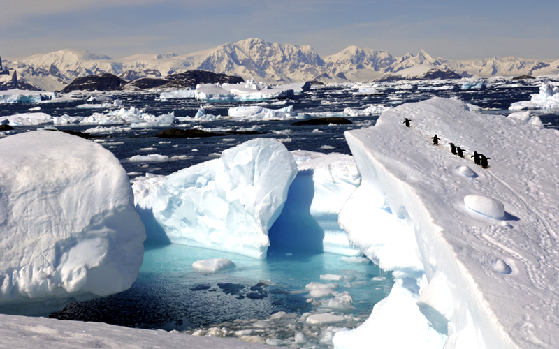 Antártica de Chile: preocupación y oportunidades