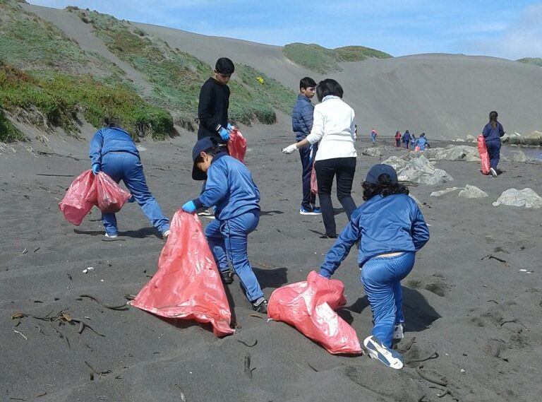 Limpieza de Playa Matanzas: recoger lo que ensucia y respetar lo que le pertenece a la naturaleza