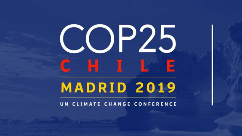 Pros y contras de la COP25