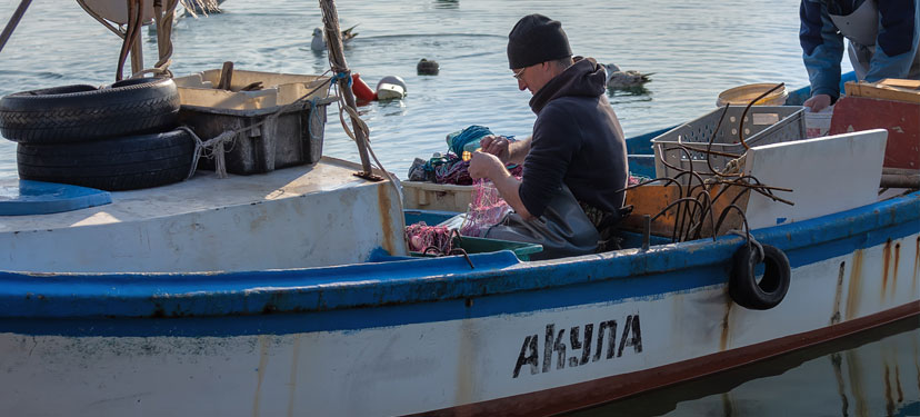 Vulnerabilidad socio-ecológica y capacidad adaptativa de pesquerías artesanales